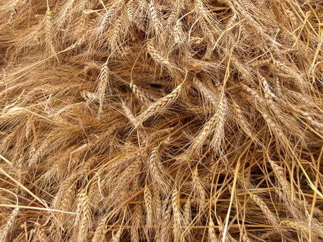 WHAT WE OFTEN DON’T NOTICE WHILE BRUSHING OUR HAIR